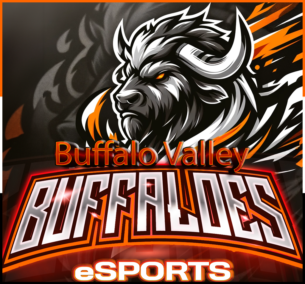 Buffalo Valley eSports